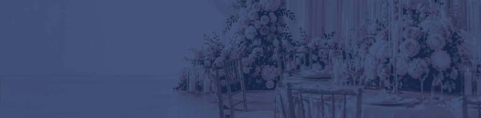 blogs Banner